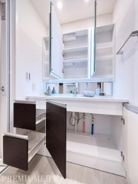 @̗[IɂȂĂAϕiȂǂXbL[ł܂B