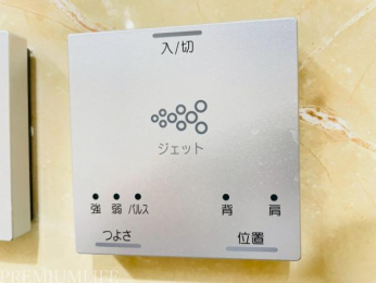 �@�ґ�ȃo�X�W�F�b�g�t�������Ŕ�ꂪ��������Ƃ�܂��B