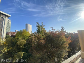 @[toRj[̒]łBtďH~AlG̈ڂ낢g߂Ɋ邱Ƃ̂łZłB