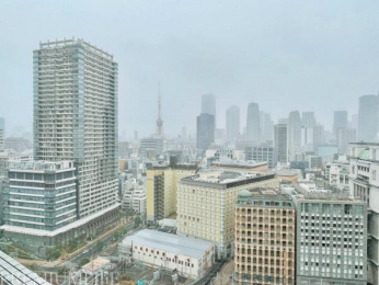 �@�X�J�C�c���[�̌����鎺������̒��]