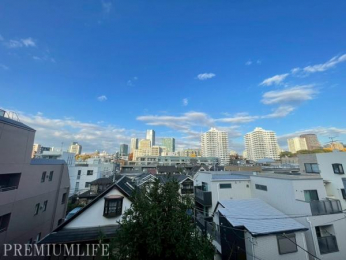 �@�X���݂�l�G����]�ł��錩���炵