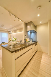 @R~jP[V̎₷ΖʎLb`BH@E򐅊tB