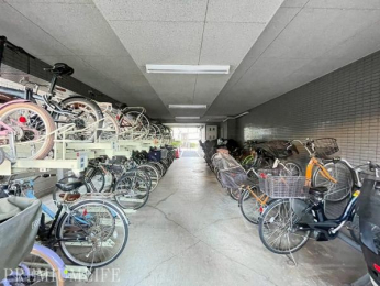 �@���p���₷���������֏�