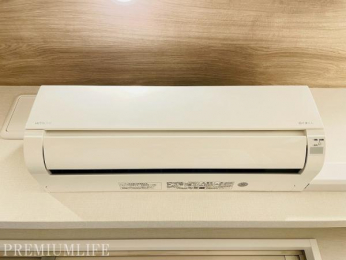 �@�G�A�R���t���̉��K���