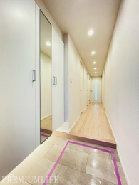 �@�����̏o���肪���K�ɂȂ�L�߂̌��֋��