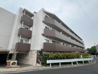 ���n�O�ώʐ^�@�����������Z��X�ŉ��₩�Ȑ������������n