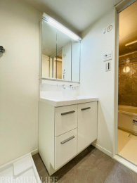 �@�傫�߂̐��ʑ�Œ��̎x�x���X���[�Y��