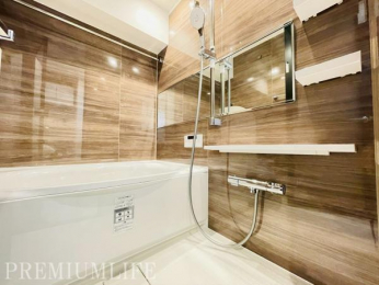 �@����̔�������������o�X���[��