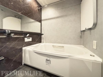 �@����̔�������������o�X���[��