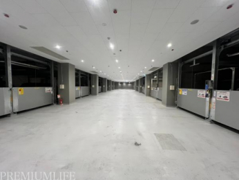 �@�~�n���ɂ͒��ԏ������