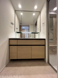 �@�傫�߂̐��ʑ�Œ��̎x�x���X���[�Y��