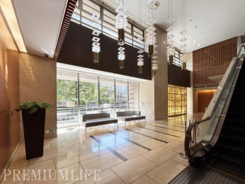 �@���q�ɂ��D��ۂȍ��������郍�r�[