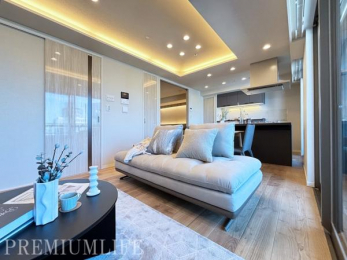 �@�A�N�Z���g�N���X�ƊԐڏƖ������������a�����A�܂�Ń��f�����[���̂悤�Ȑ������