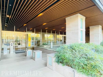 �@����������G���g�����X�Ŗ����̋A����ʂ�