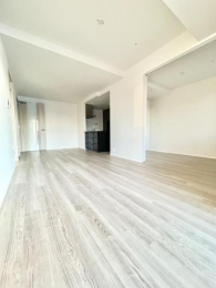 �@11�����̍L�X���r���O