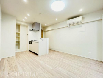 �@�G�A�R�������̖��邢���r���O���