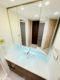 �@�傫�Ȑ��ʑ�Œ��̎x�x���X���[�Y��