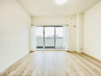 �@�傫�ȑ����玩�R�����L����A�J�����Ɩ��邳�����˔������m��