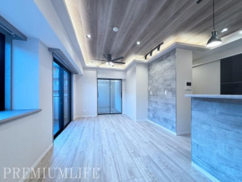 �@�A�N�Z���g�N���X�ƊԐڏƖ������������a�����A�܂�Ń��f�����[���̂悤�Ȑ������