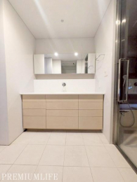 �@�傫�ȃ~���[�ƈ����o�����[���֗��Ȑ��ʎ��B