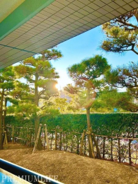 �@�o���R�j�[����͎����̍s���͂����A�͂�]�ށA�����̌i�F�B