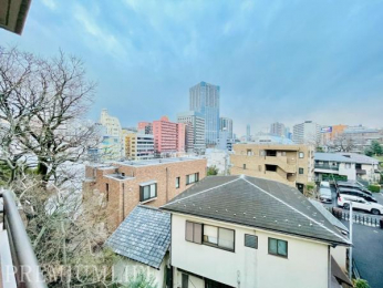 �@�X���݂�l�G����]�ł��錩���炵