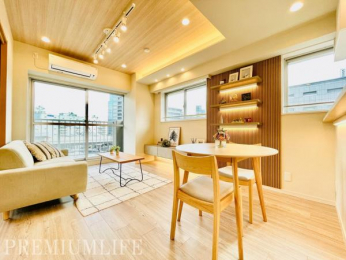 �@��������������ƊԐڏƖ������������a�����A�܂�Ń��f�����[���̂悤�Ȑ������