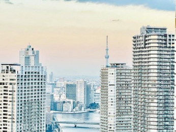 �@�X�J�C�c���[��]�ޔ������̂���i�F�B���ԑт��Ƃɕς��\��y���߂܂��B