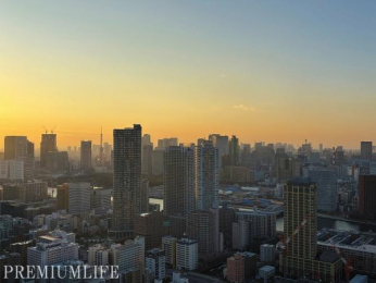 �@���w�K�Ȃ�ł͂̔������Ɠ����^���[�r���[�B�[�i�̔��������ۗ����]