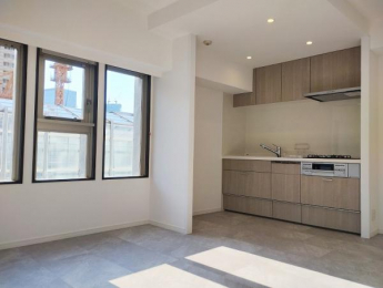 �@�J�����̂���݌v�ŁA������S�n�悭�߂�����㎿�ȃ��r���O