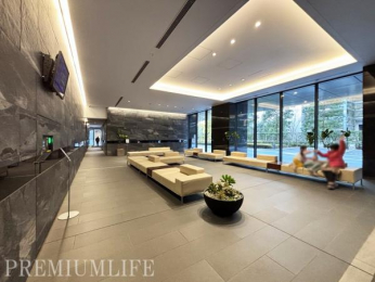 �@���q�ɂ��D��ۂ�^���鍂�����Y�����r�[��Ԃ����͂̃��W�f���X