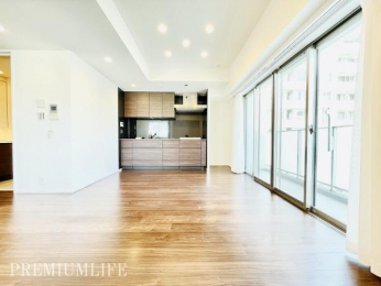 �@�傫�ȑ���������������ށA���邭�J���I�Ȗ�11.8���̃��r���O�ł��B