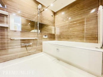 �@1620�T�C�Y�̂������o�X���[���B����L�΂��Ă��낰��L���ł��B