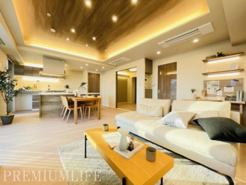 �@�J�����̂���݌v�ŁA������S�n�悭�߂�����㎿�ȃ��r���O