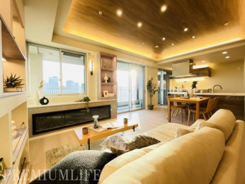 �@��������������ƊԐڏƖ������������a�����A�܂�Ń��f�����[���̂悤�Ȑ������