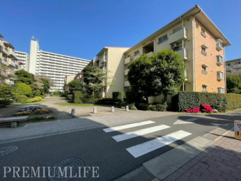 ���n�O�ώʐ^�@�y��䋣�n��O�w�k��16���z�΂��L���ȐS�n�̗ǂ��Z��