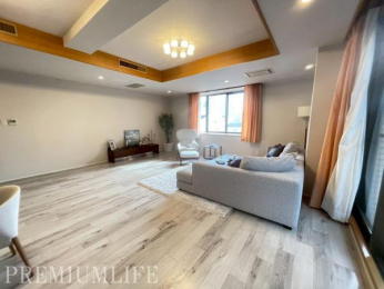 �@��������������ƊԐڏƖ������������a�����A�܂�Ń��f�����[���̂悤�Ȑ������