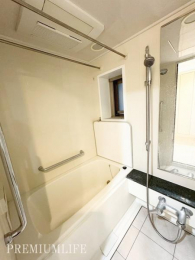 �@������1317�T�C�Y�ŁA�P�g�ł��������g����o�X���[��